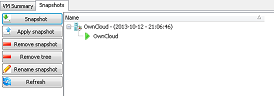 Snapshot tab